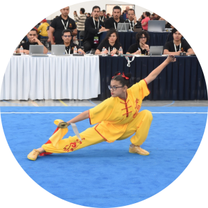 wushu11